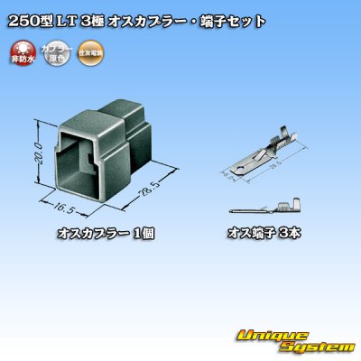 Photo4: [Sumitomo Wiring Systems] 250-type LT non-waterproof 3-pole male-coupler & terminal set