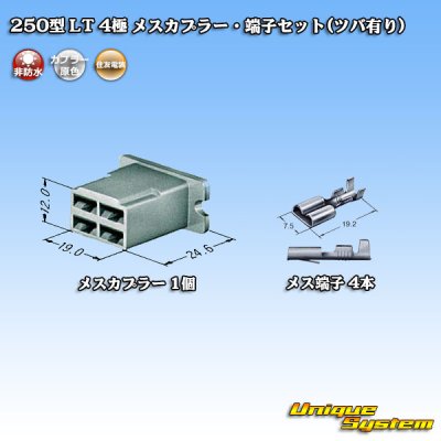 Photo4: [Sumitomo Wiring Systems] 250-type LT non-waterproof 4-pole female-coupler & terminal set (with brim)
