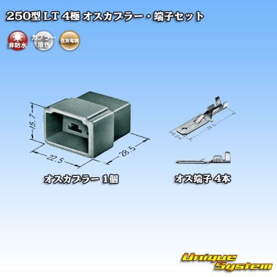 Photo4: [Sumitomo Wiring Systems] 250-type LT non-waterproof 4-pole male-coupler & terminal set