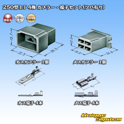 Photo5: [Sumitomo Wiring Systems] 250-type LT non-waterproof 4-pole coupler & terminal set (with brim)