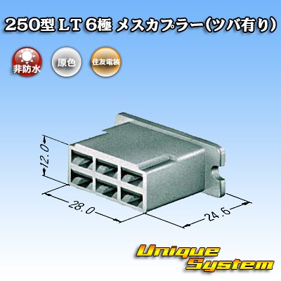 Photo3: [Sumitomo Wiring Systems] 250-type LT non-waterproof 6-pole female-coupler (with brim)