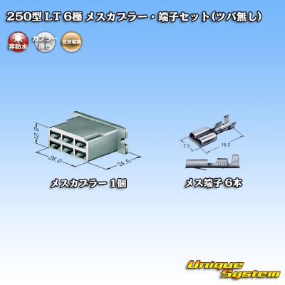 Photo4: [Sumitomo Wiring Systems] 250-type LT non-waterproof 6-pole female-coupler & terminal set (no brim)