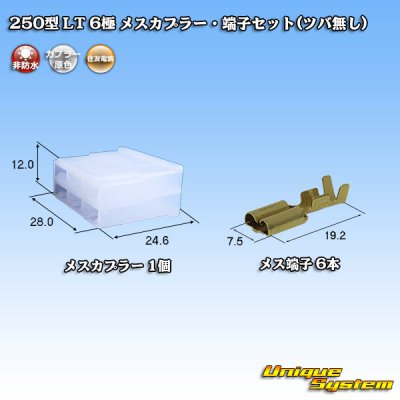 Photo1: [Sumitomo Wiring Systems] 250-type LT non-waterproof 6-pole female-coupler & terminal set (no brim)