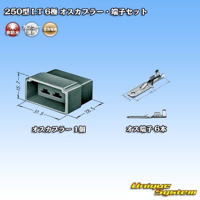 Photo4: [Sumitomo Wiring Systems] 250-type LT non-waterproof 6-pole male-coupler & terminal set