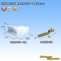 [Sumitomo Wiring Systems] 250-type LT non-waterproof 6-pole male-coupler & terminal set