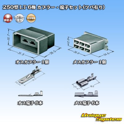 Photo5: [Sumitomo Wiring Systems] 250-type LT non-waterproof 6-pole coupler & terminal set (with brim)
