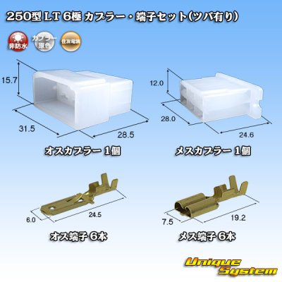 Photo1: [Sumitomo Wiring Systems] 250-type LT non-waterproof 6-pole coupler & terminal set (with brim)