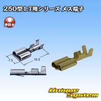 [Sumitomo Wiring Systems] 250-type LT series non-waterproof female-terminal