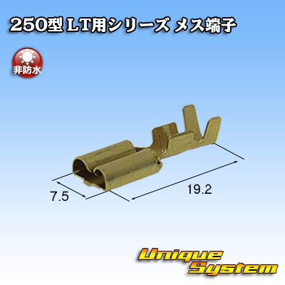 Photo2: [Sumitomo Wiring Systems] 250-type LT series non-waterproof female-terminal