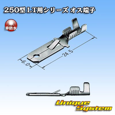 Photo3: [Sumitomo Wiring Systems] 250-type LT series non-waterproof male-terminal