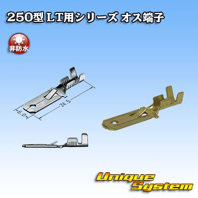 Photo1: [Sumitomo Wiring Systems] 250-type LT series non-waterproof male-terminal