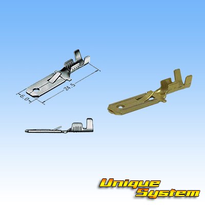 Photo3: [Sumitomo Wiring Systems] 250-type LT non-waterproof 2-pole male-coupler & terminal set