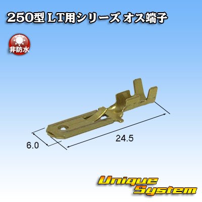 Photo2: [Sumitomo Wiring Systems] 250-type LT series non-waterproof male-terminal