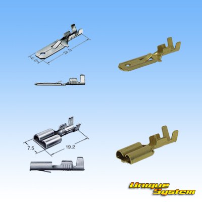 Photo4: [Sumitomo Wiring Systems] 250-type LT non-waterproof 2-pole coupler & terminal set