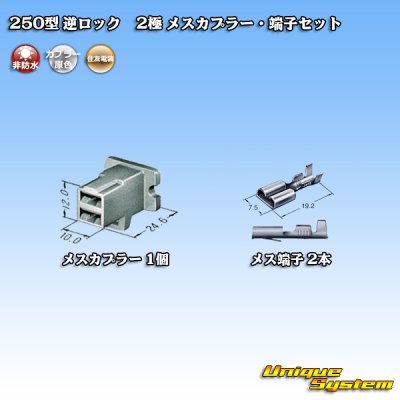 Photo4: [Sumitomo Wiring Systems] 250-type reverse-lock non-waterproof 2-pole female-coupler & terminal set