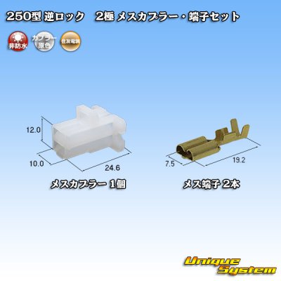 Photo1: [Sumitomo Wiring Systems] 250-type reverse-lock non-waterproof 2-pole female-coupler & terminal set