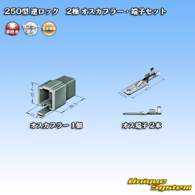 Photo4: [Sumitomo Wiring Systems] 250-type reverse-lock non-waterproof 2-pole male-coupler & terminal set