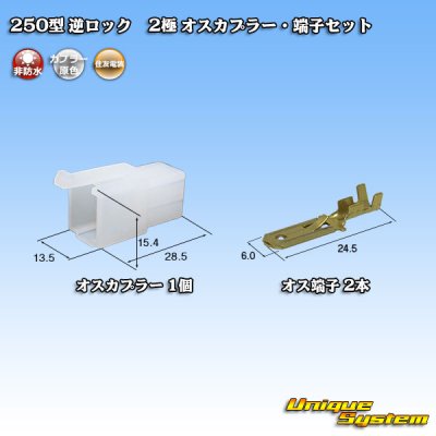 Photo1: [Sumitomo Wiring Systems] 250-type reverse-lock non-waterproof 2-pole male-coupler & terminal set