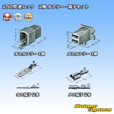 Photo5: [Sumitomo Wiring Systems] 250-type reverse-lock non-waterproof 2-pole coupler & terminal set