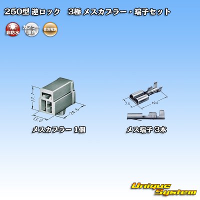 Photo4: [Sumitomo Wiring Systems] 250-type reverse-lock non-waterproof 3-pole female-coupler & terminal set