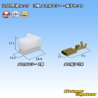 [Sumitomo Wiring Systems] 250-type reverse-lock non-waterproof 3-pole female-coupler & terminal set