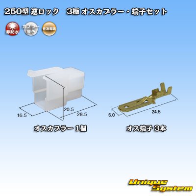 Photo1: [Sumitomo Wiring Systems] 250-type reverse-lock non-waterproof 3-pole male-coupler & terminal set