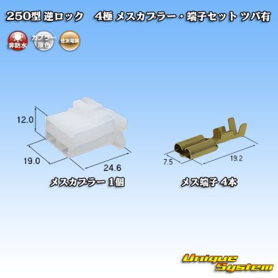 Photo1: [Sumitomo Wiring Systems] 250-type reverse-lock non-waterproof with brim 4-pole female-coupler & terminal set