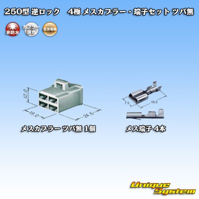 Photo4: [Sumitomo Wiring Systems] 250-type reverse-lock non-waterproof non-brim 4-pole female-coupler & terminal set