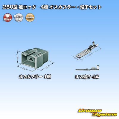 Photo4: [Sumitomo Wiring Systems] 250-type reverse-lock non-waterproof 4-pole male-coupler & terminal set