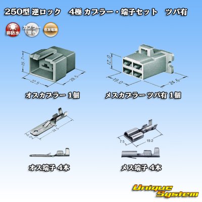 Photo5: [Sumitomo Wiring Systems] 250-type reverse-lock non-waterproof with brim 4-pole coupler & terminal set