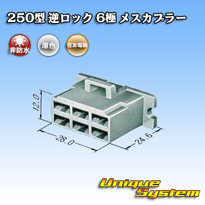 Photo3: [Sumitomo Wiring Systems] 250-type reverse-lock non-waterproof 6-pole female-coupler