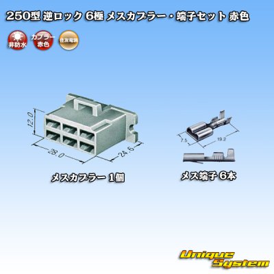 Photo1: [Sumitomo Wiring Systems] 250-type reverse-lock non-waterproof 6-pole female-coupler & terminal set (red)