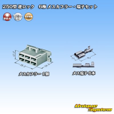 Photo4: [Sumitomo Wiring Systems] 250-type reverse-lock non-waterproof 6-pole female-coupler & terminal set