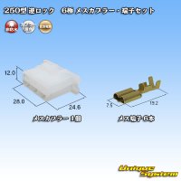 [Sumitomo Wiring Systems] 250-type reverse-lock non-waterproof 6-pole female-coupler & terminal set