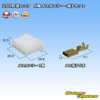 Photo1: [Sumitomo Wiring Systems] 250-type reverse-lock non-waterproof 6-pole female-coupler & terminal set