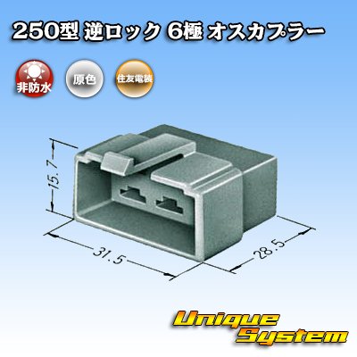 Photo3: [Sumitomo Wiring Systems] 250-type reverse-lock non-waterproof 6-pole male-coupler