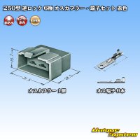 [Sumitomo Wiring Systems] 250-type reverse-lock non-waterproof 6-pole male-coupler & terminal set (red)