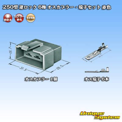 Photo1: [Sumitomo Wiring Systems] 250-type reverse-lock non-waterproof 6-pole male-coupler & terminal set (red)