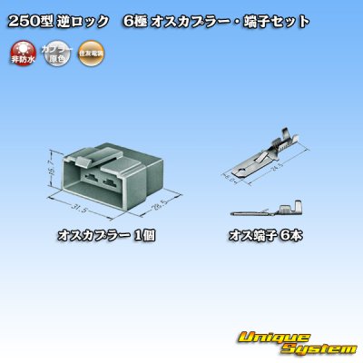 Photo4: [Sumitomo Wiring Systems] 250-type reverse-lock non-waterproof 6-pole male-coupler & terminal set