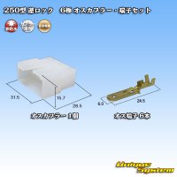 [Sumitomo Wiring Systems] 250-type reverse-lock non-waterproof 6-pole male-coupler & terminal set