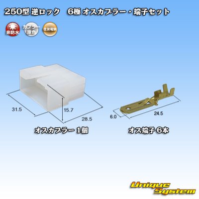 Photo1: [Sumitomo Wiring Systems] 250-type reverse-lock non-waterproof 6-pole male-coupler & terminal set