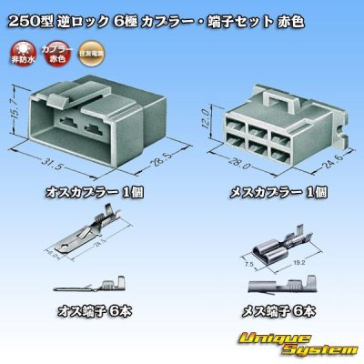 Photo1: [Sumitomo Wiring Systems] 250-type reverse-lock non-waterproof 6-pole coupler & terminal set (red)