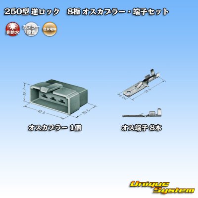 Photo4: [Sumitomo Wiring Systems] 250-type reverse-lock non-waterproof 8-pole male-coupler & terminal set