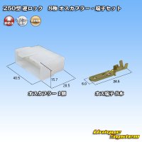 [Sumitomo Wiring Systems] 250-type reverse-lock non-waterproof 8-pole male-coupler & terminal set
