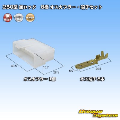 Photo1: [Sumitomo Wiring Systems] 250-type reverse-lock non-waterproof 8-pole male-coupler & terminal set