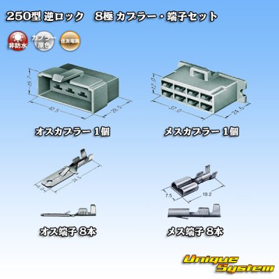 Photo5: [Sumitomo Wiring Systems] 250-type reverse-lock non-waterproof 8-pole coupler & terminal set