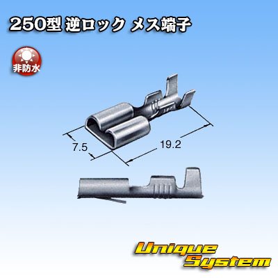 Photo3: [Sumitomo Wiring Systems] 250-type reverse-lock non-waterproof female-terminal