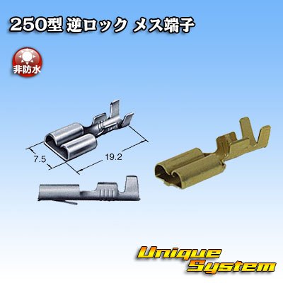 Photo1: [Sumitomo Wiring Systems] 250-type reverse-lock non-waterproof female-terminal