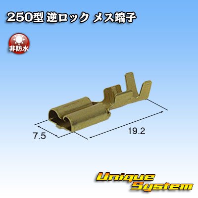 Photo2: [Sumitomo Wiring Systems] 250-type reverse-lock non-waterproof female-terminal