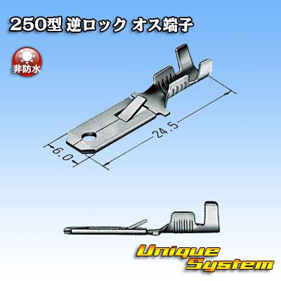 Photo3: [Sumitomo Wiring Systems] 250-type reverse-lock non-waterproof male-terminal